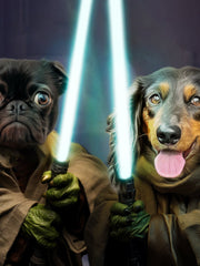 Load image into Gallery viewer, Custom Funny Space Wars Pet Portrait Galactic Master Art Fast Christmas Gift Decor