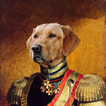 Load image into Gallery viewer, Custom Royal Dog Portrait General Military Pet Art Personalized Christmas Gift Canvas
