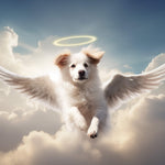 Load image into Gallery viewer, Custom Pet Memorial Portrait Angel Dog Wings Art Personalized Loss Gift Canvas

