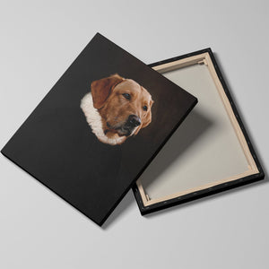 The Earl of Durham - Custom Pet Canvas - Your Pet as The Earl of Durham